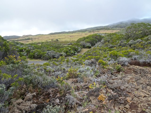 Le sentier passe souvent très près de la route forestière