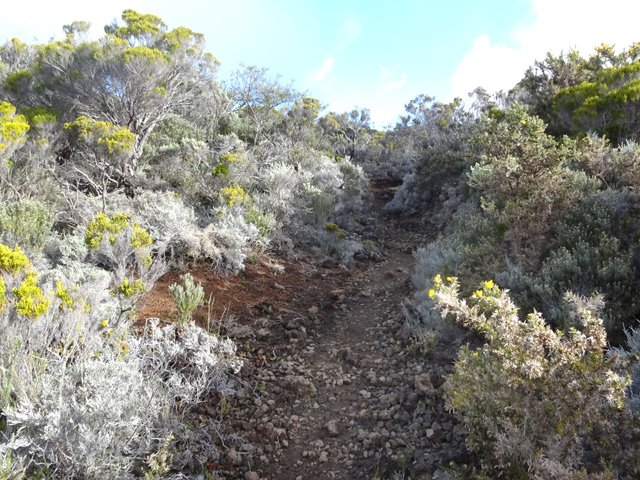 Quelques portions caillouteuses