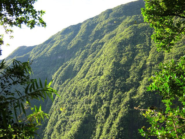 Le rempart vers le Cap Picard