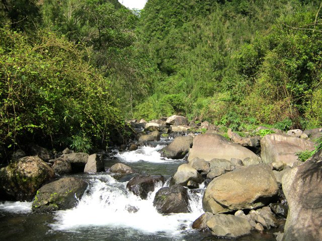 La rivière est très agréable mais ne comporte pas de sentier...