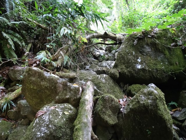 Montée sérieuse dès le départ dans la ravine
