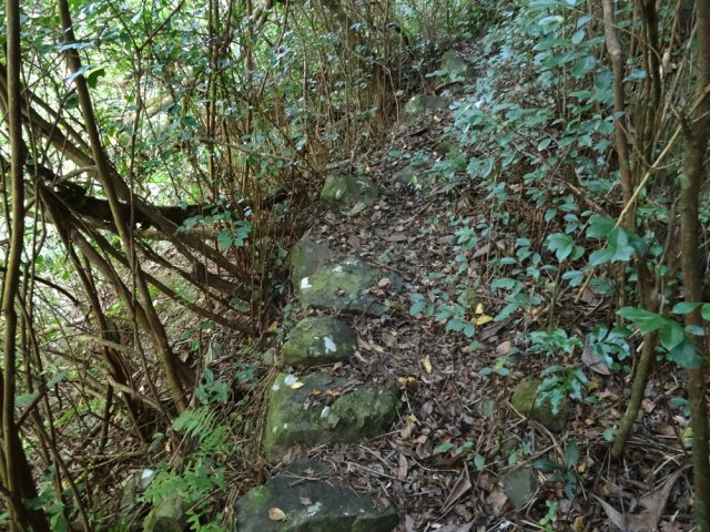 Des traces de travaux montrent que ce sentier a été un jour de qualité
