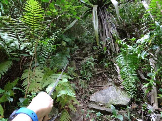 Quelques cordes facilitent les passages délicats