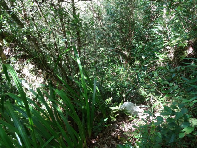 Une rare portion plate dans la descente vertigineuse