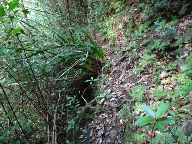 Attention, le sentier fait moins de 20 cm de large en bord de ravin