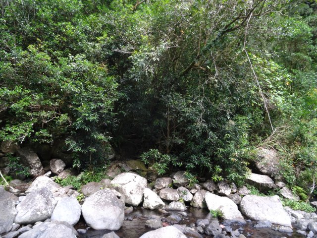 Bien repérer le point de retour dans les jamrosas