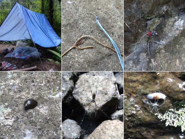 L'endroit est isolé mais semble habité ou visité