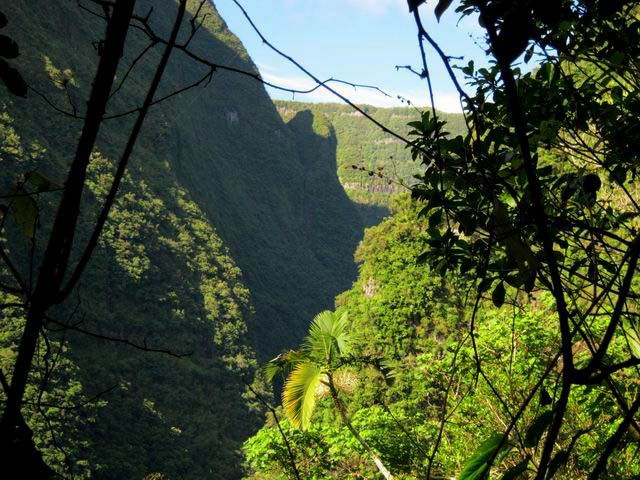 La 1ère vue sur le Trou de Fer dans la descente vers l'Ilet Bras de Caverne