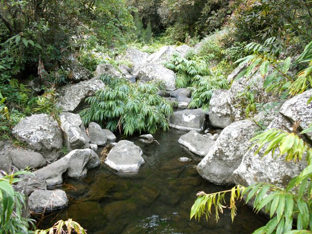 Le Grand Bras ne paye pas de mine. Son débit est variable en fonction de la saison