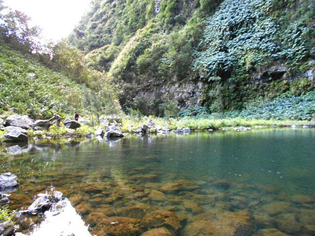 Le bassin, assez vaste est rempli d'une eau limpide