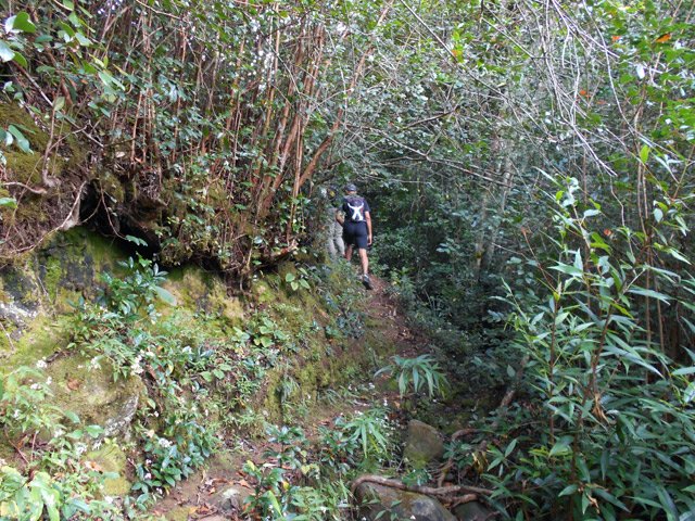 Le sentier est en meilleur état que celui venant de Bellepierre