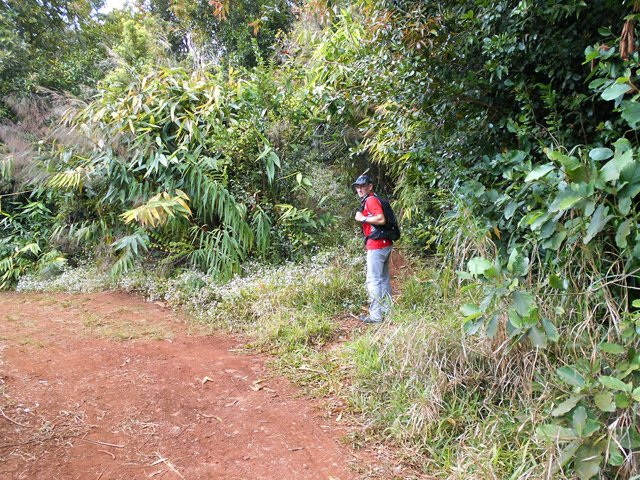 Un petit raccourci pour rejoindre les kiosques de pique-nique