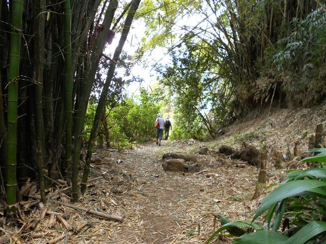 A deux pas de la route mais dans la verdure