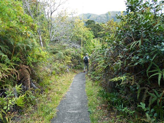 Le Chemin des Vétivers se termine presque en sentier.