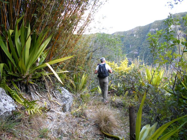 Un des rares passages sans trop de végétation