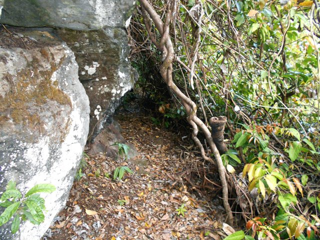 Le sentier longe plusieurs fois des barres rocheuses