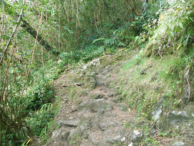 A mi parcours en direction du gîte, le sol est recouvert le plus souvent de cailloux