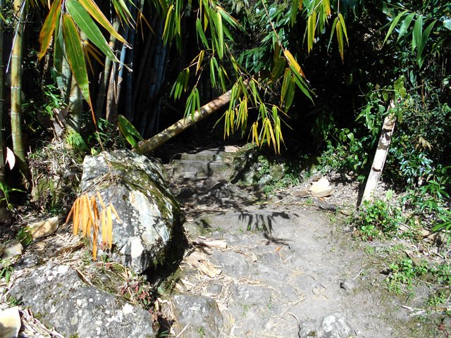 Cailloux, bambous et escaliers en début de montée après la petite ravine
