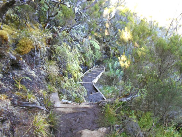 Une longue portion bien réhabilitée s'effectue sur des marches en bois