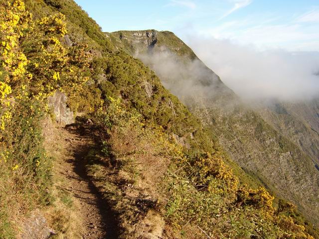 Le sentier qui descend du Maïdo à Ti col, au milieu des ajoncs