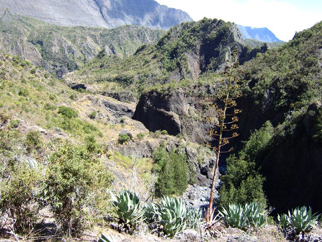 Une bonne idée du paysage entre Roche Plate et Trois Roches