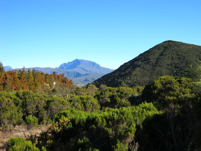 Le Piton Rouge et le Piton des Neiges à l'horizon