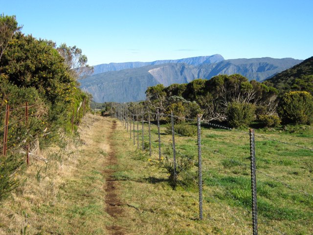 D'autres sentiers entre les prairies