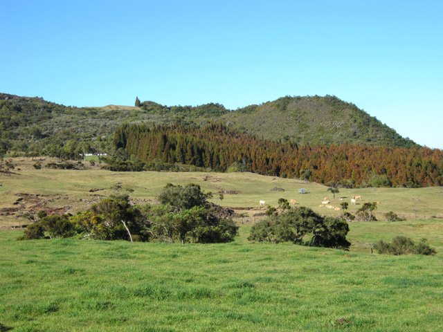 Au fond, le Piton Guichard et le Tamarin Dodo