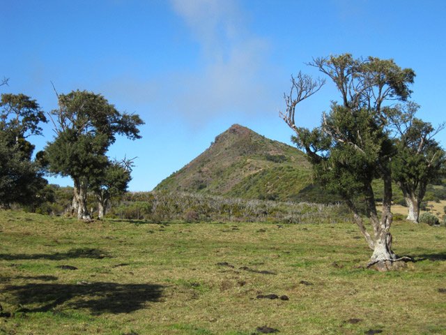 L'arrivée dans les prairies qui entourent le Nez de Boeuf