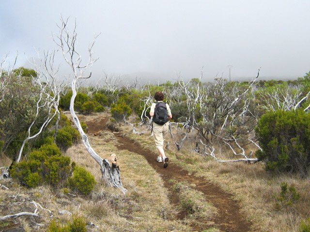 Le sentier, aux alentours de la descente vers Roche Plate