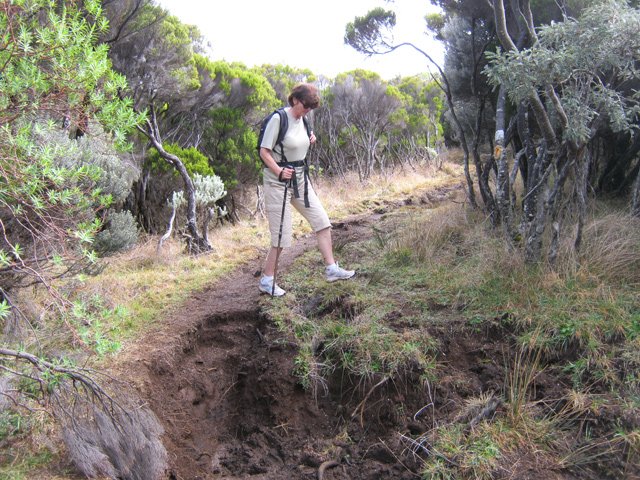 Quelques hautes marches crées par les bovins