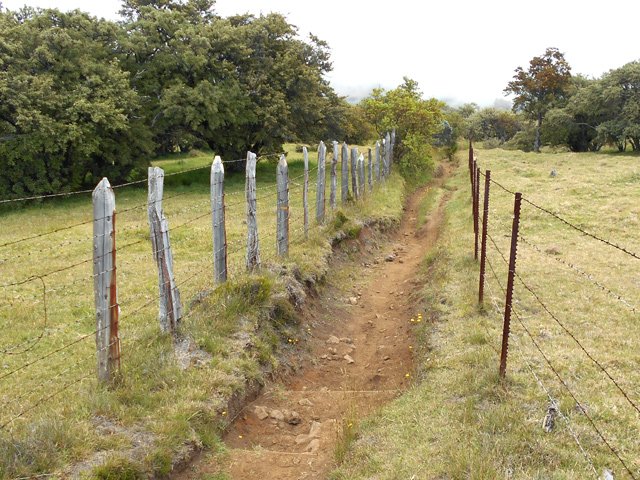 Le sentier dans les prairies descendant vers les Trous Blancs
