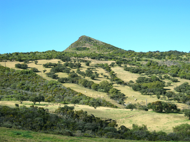Prairies, vaches et tamarins au pied du Nez de Boeuf