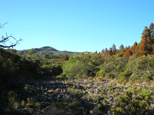 La traversée du Grand Bras de Pontho, à sec mais glissant