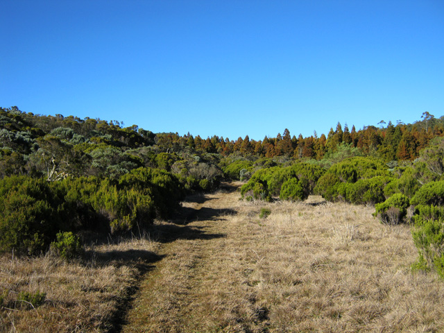 Le superbe sentier, nom marqué sur la carte qui rejoint l'ancien GR