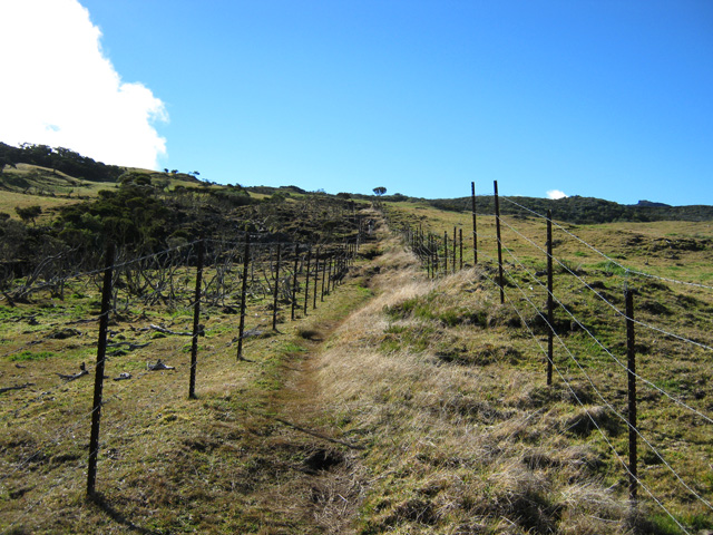Le sentier est impossible à perdre de vue, sous peine de griffures
