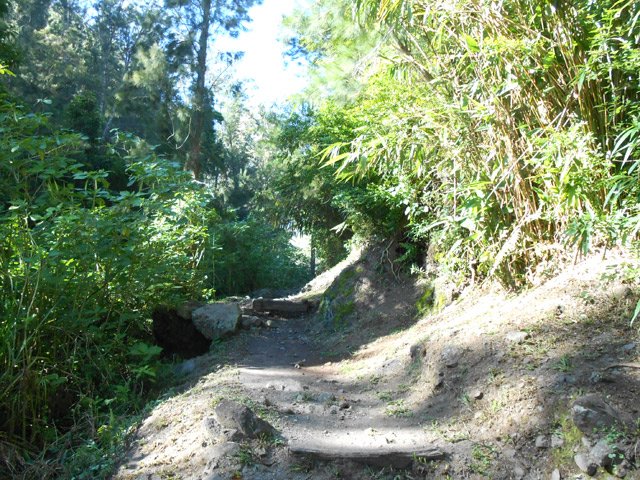 Le début du sentier