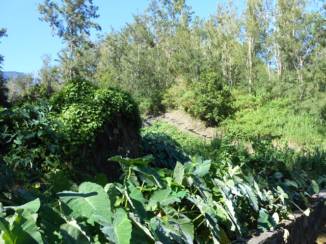 Le départ du sentier à la route de Fond de Rond-Point