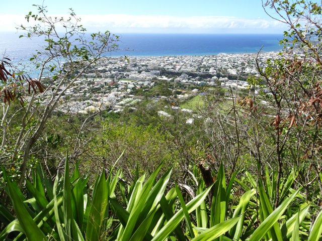 Nombreux points de vue sur le chef-lieu mais souvent cachés par les branches