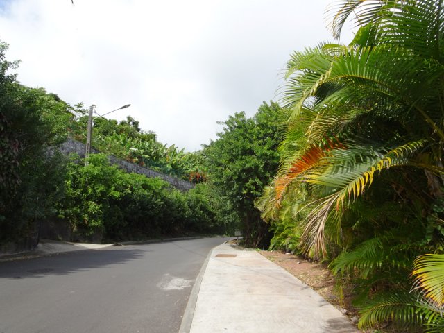 Une grande partie du Chemin de la Vigie est en pente