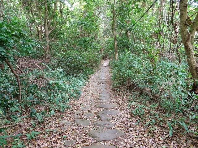 Descente par le Chemin des Anglais de la Montagne