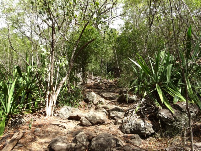 La montée est immédiate et déjà très caillouteuse