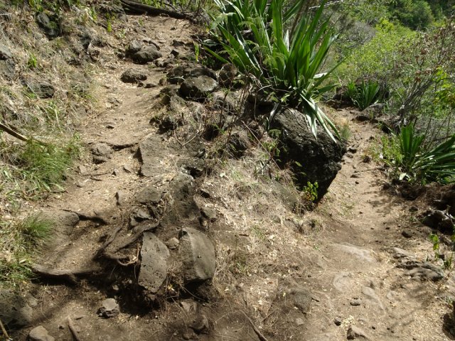 Beaucoup de lacets plus ou moins longs