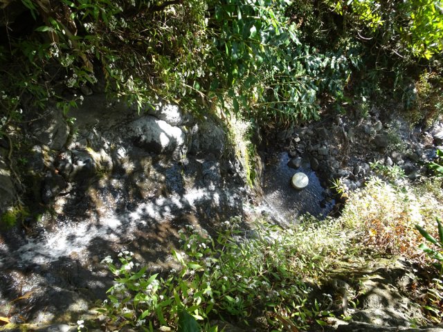 Une crépine flottante pour pomper l'eau du bassin