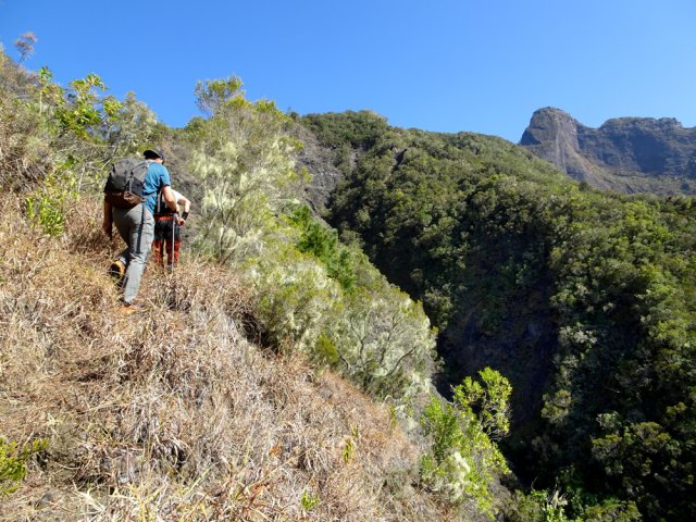 On longe ici la Ravine Gaubert avec vues sur le Nez de Bœuf