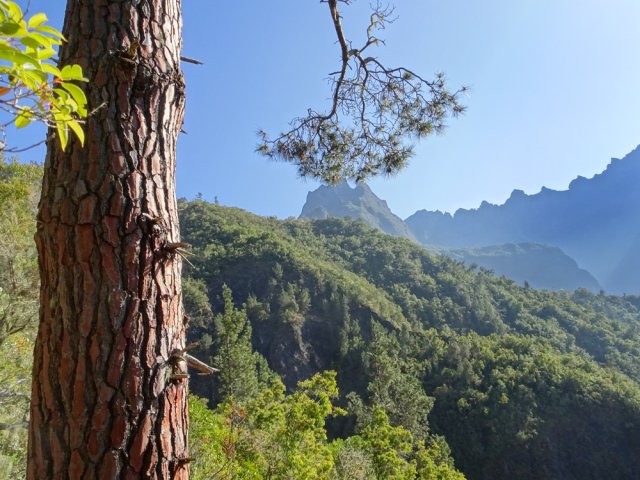 On longe ici la Ravine Gaubert avec vues sur le Nez de Bœuf