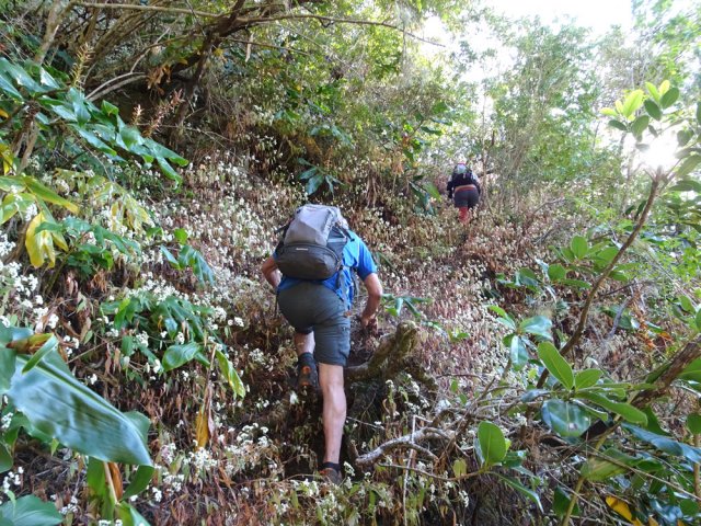 Le ton est très vite donné dans les jouvences et longoses