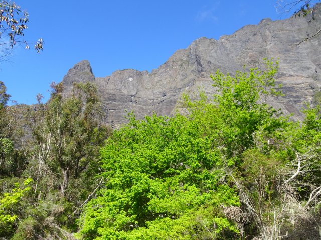 Le Piton des Fleurs Jaunes et le rempart infranchissable