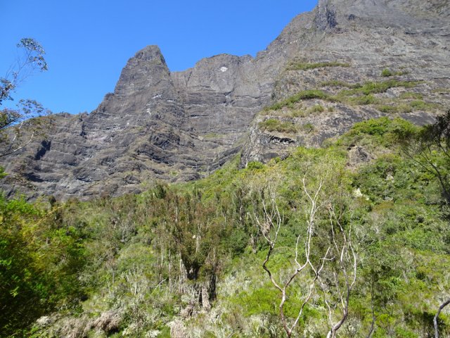 Une idée de la végétation de l'autre côté de la ravine