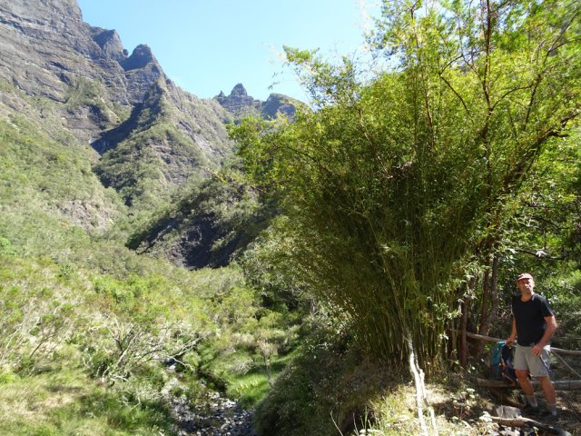 La petite touffe de bambous avant de descendre dans le lit de la ravine